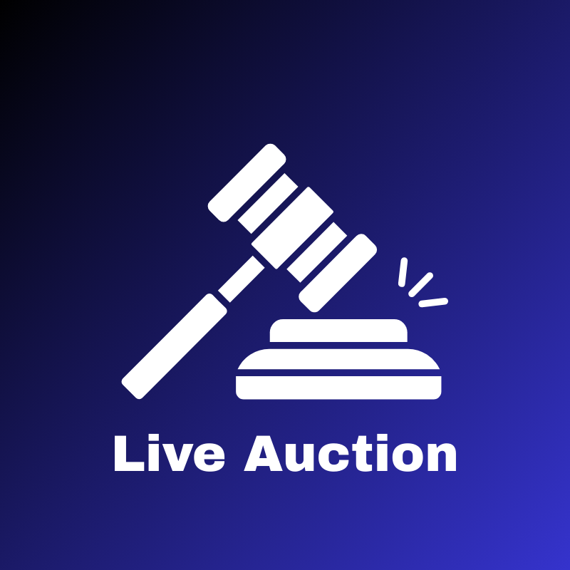 Live Auction - Packs/Elite Trainer Boxes/Boxes